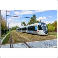 2022-09-01 °T13 St-Germain-en-Laye 506 11.jpg